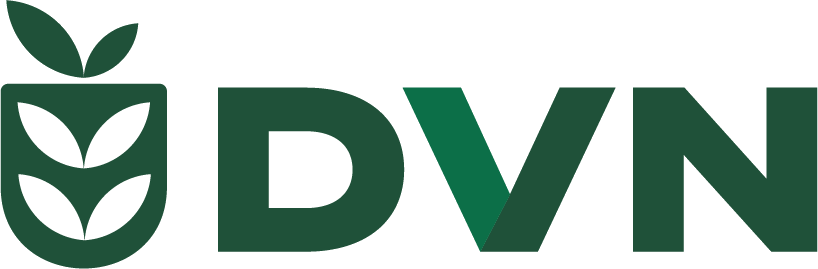 DVN